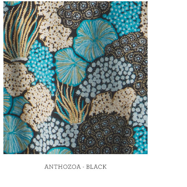 Anthozoa - Black