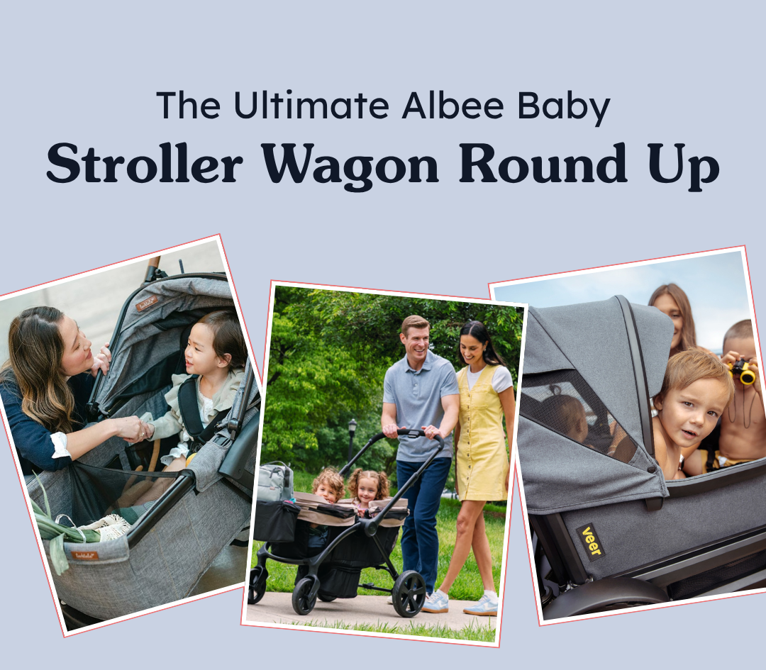 The Ultimate Albee Baby Stroller Wagon Round Up