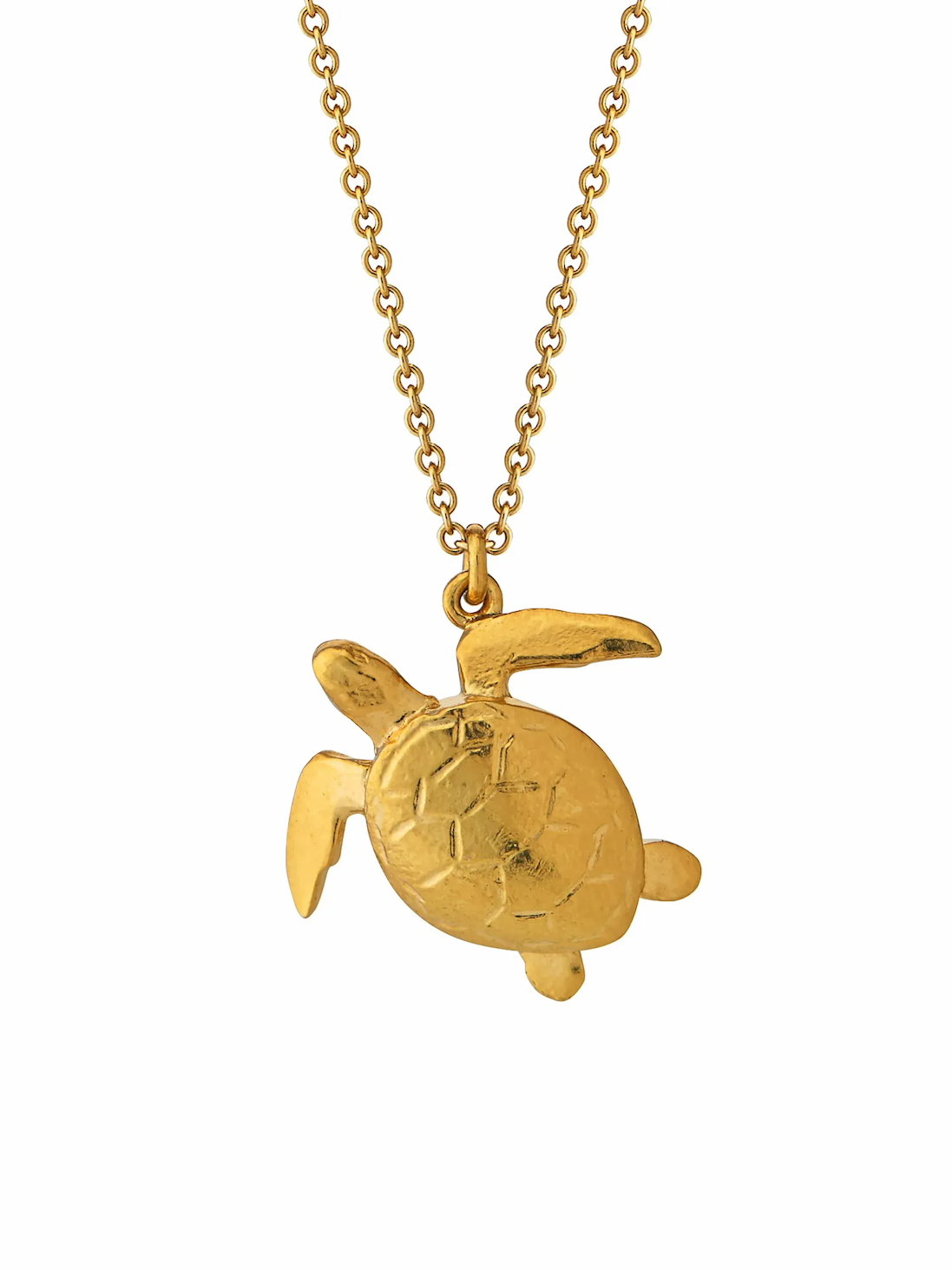 Sea Turtle Necklace