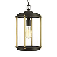 Atlantis 1 Light 9.75 inch Architectural Bronze Outdoor Hanging Lantern by TrulyCoastal