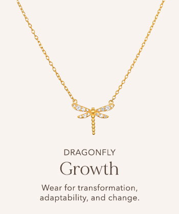 Shop Dragonfly