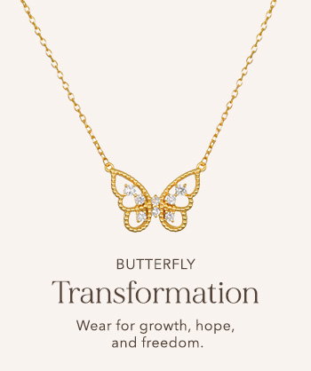 Shop Butterfly