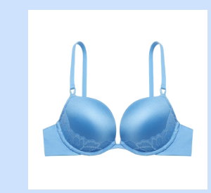 Push Up Plunge Bra
