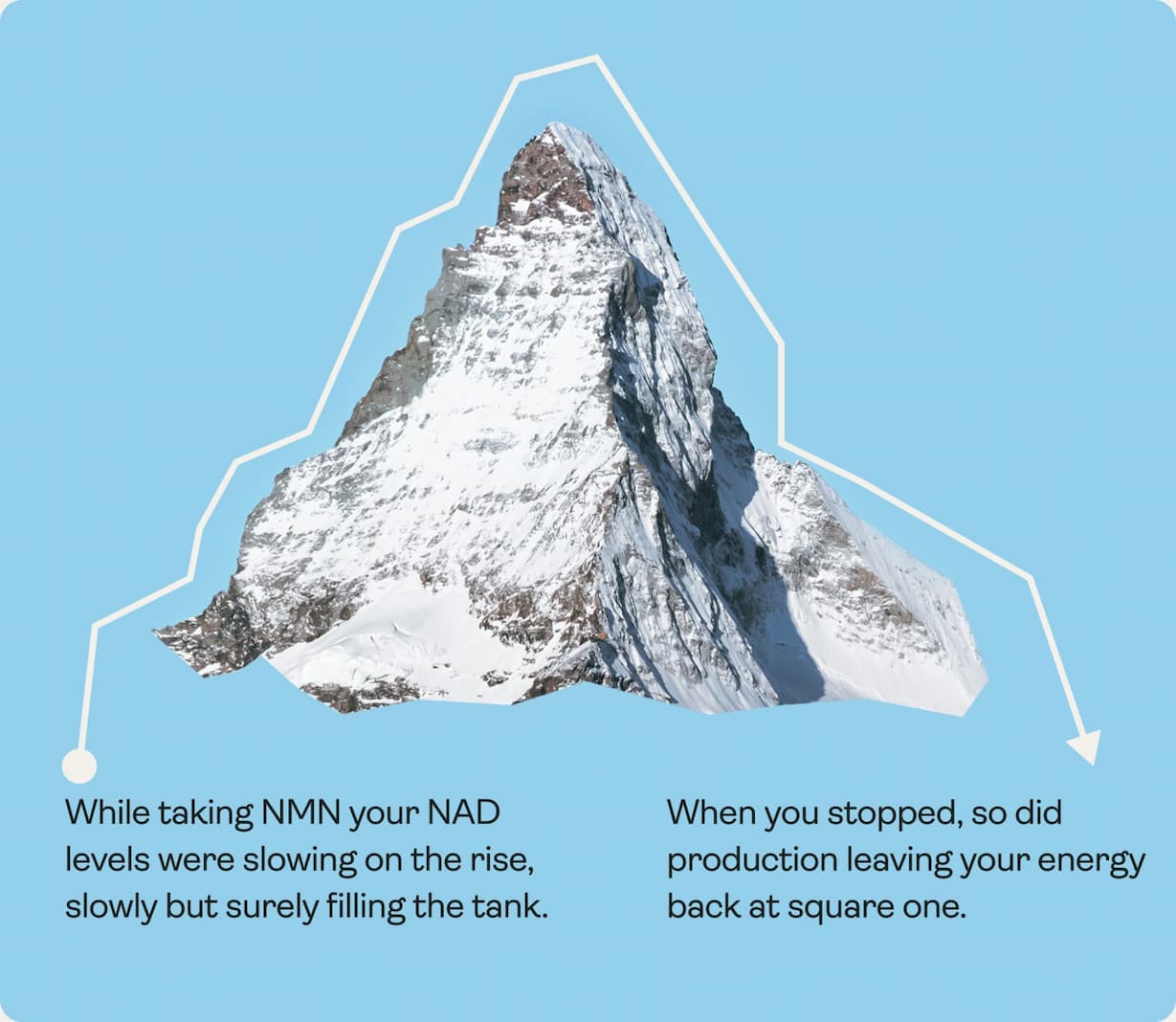 NAD levels when you take NMN