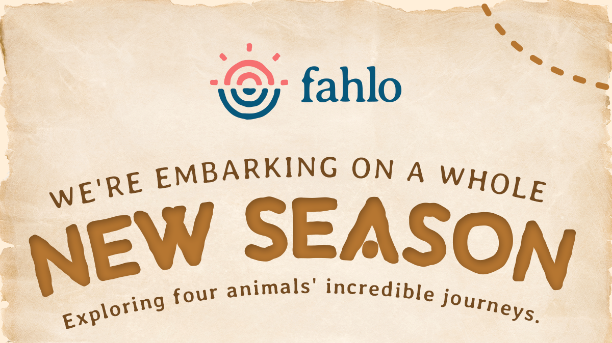 Some animals travel to find food, others to defend territory, establish a home, or follow the changing seasons. Season One: Journeys brings all four of these stories to life through the koala, rhino, whale shark, and giraffe.