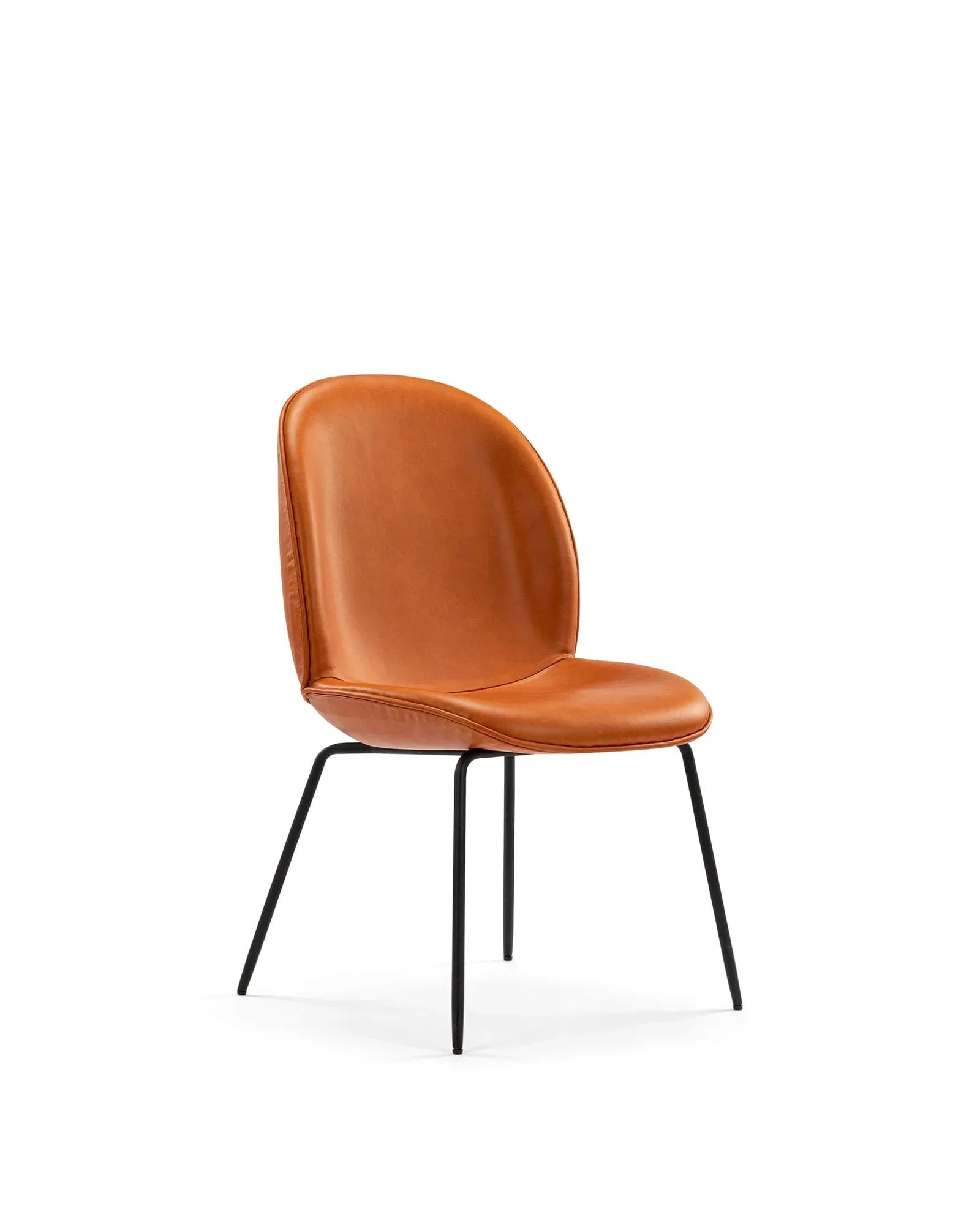 Image of Beetle Side Chair | FINAL SALE