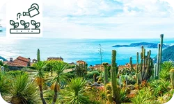 Quelles sont les plantes à cultiver en bord de mer ?