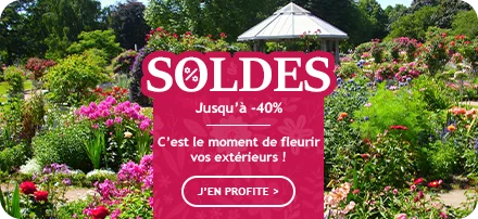 Soldes d’été jusqu’à -40% de remise