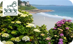 Quels arbustes planter dans un jardin en bord de mer ?