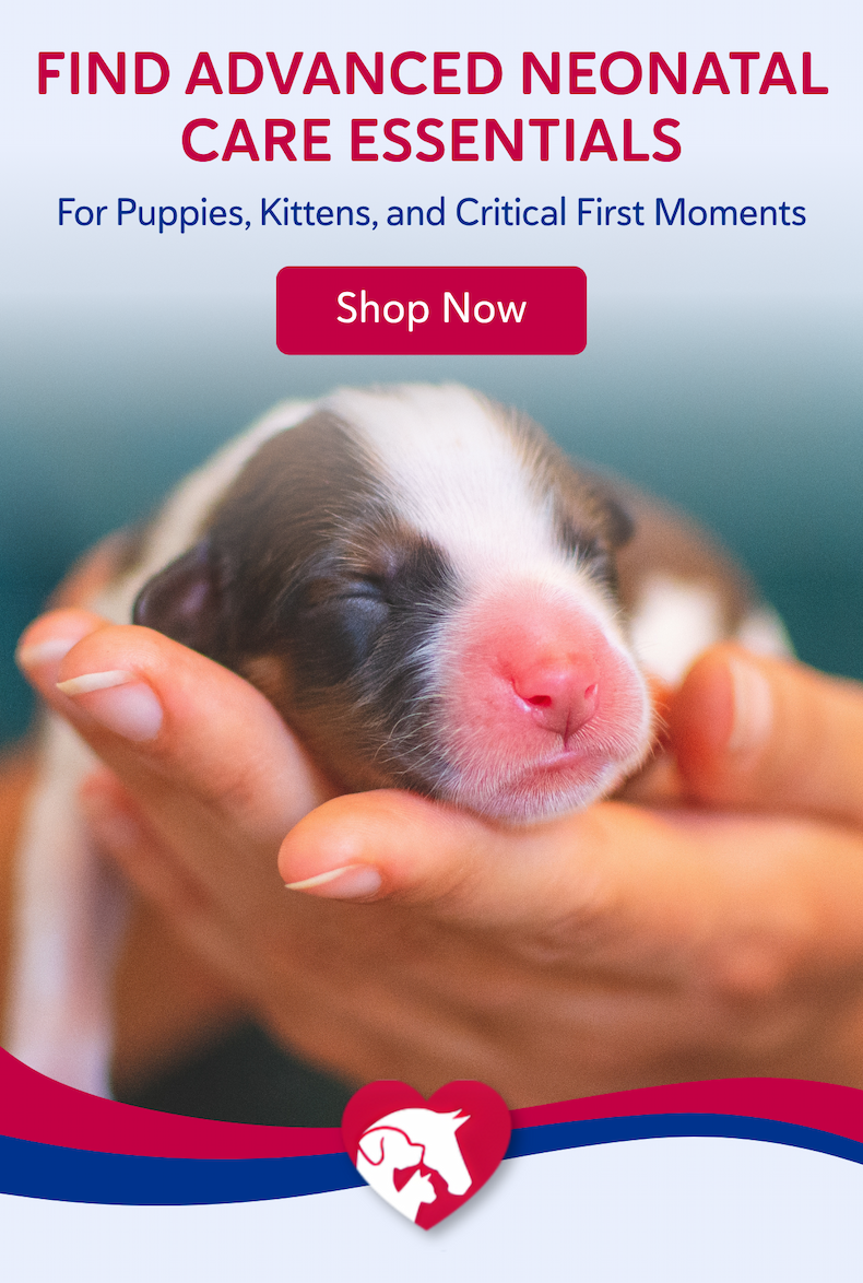 Find advanced neonatal care essentials for puppies, kittens, and critical first moments.