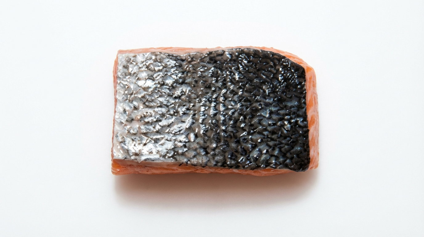 Noorse zalmporties met huid — 4 kg netto | MegaFoodStunter