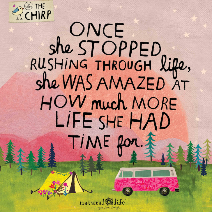 chirp_camping