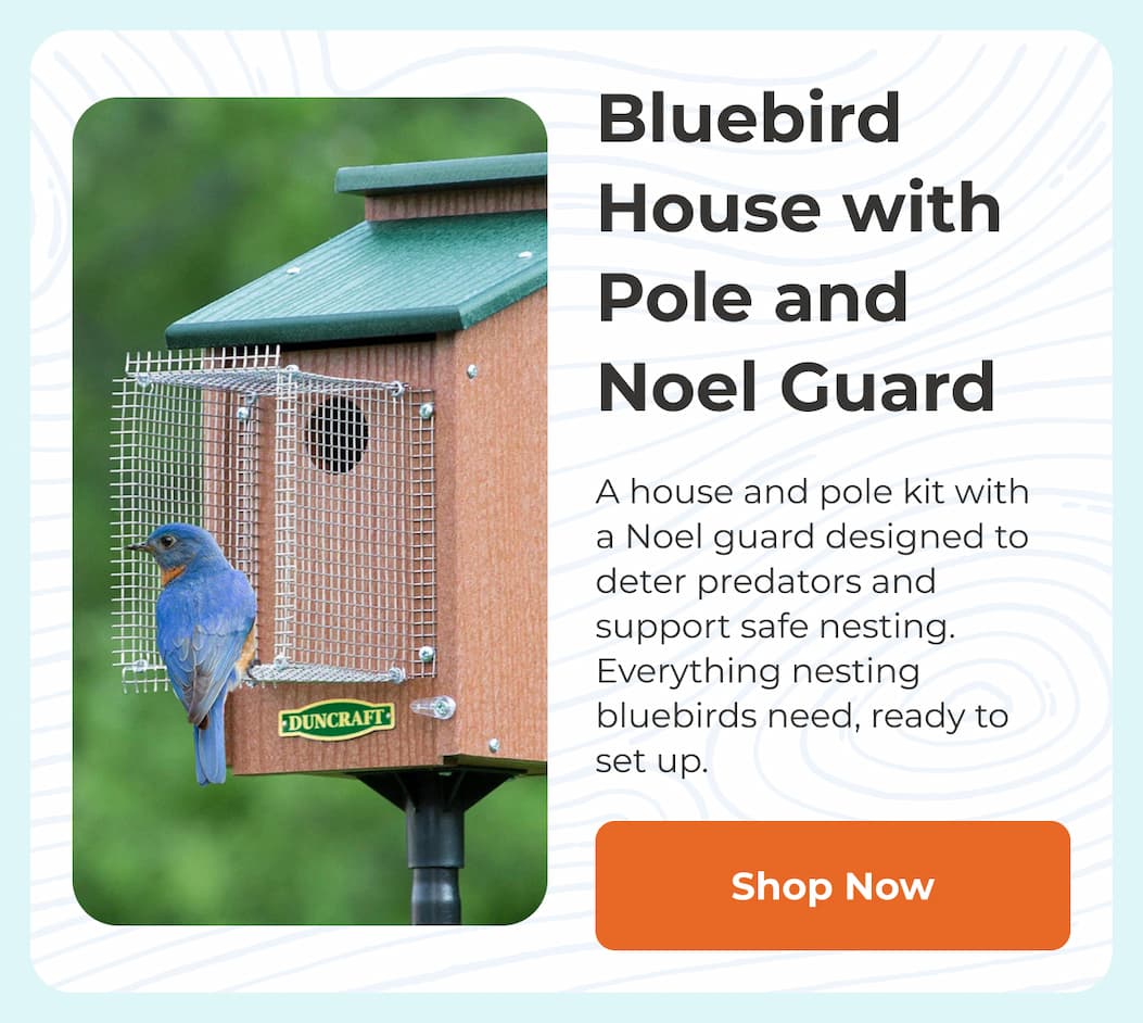 Bluebird House with Pole and Noel Guard