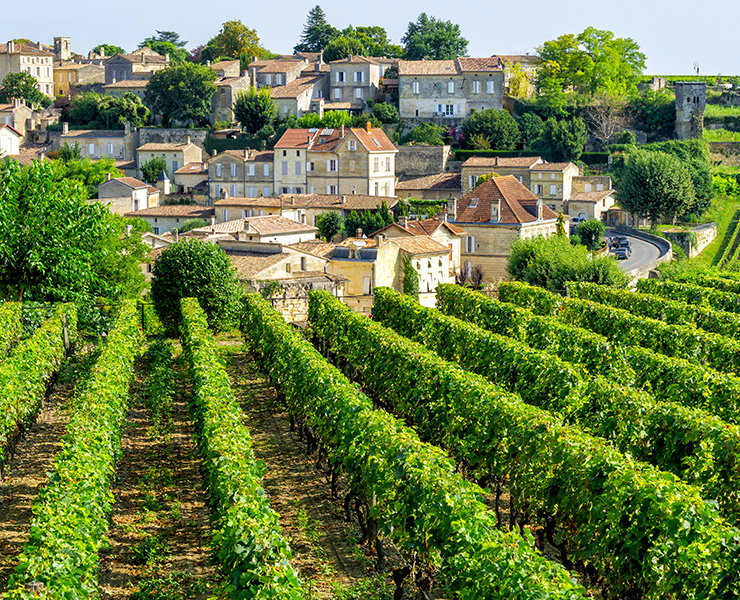 For the love of France 