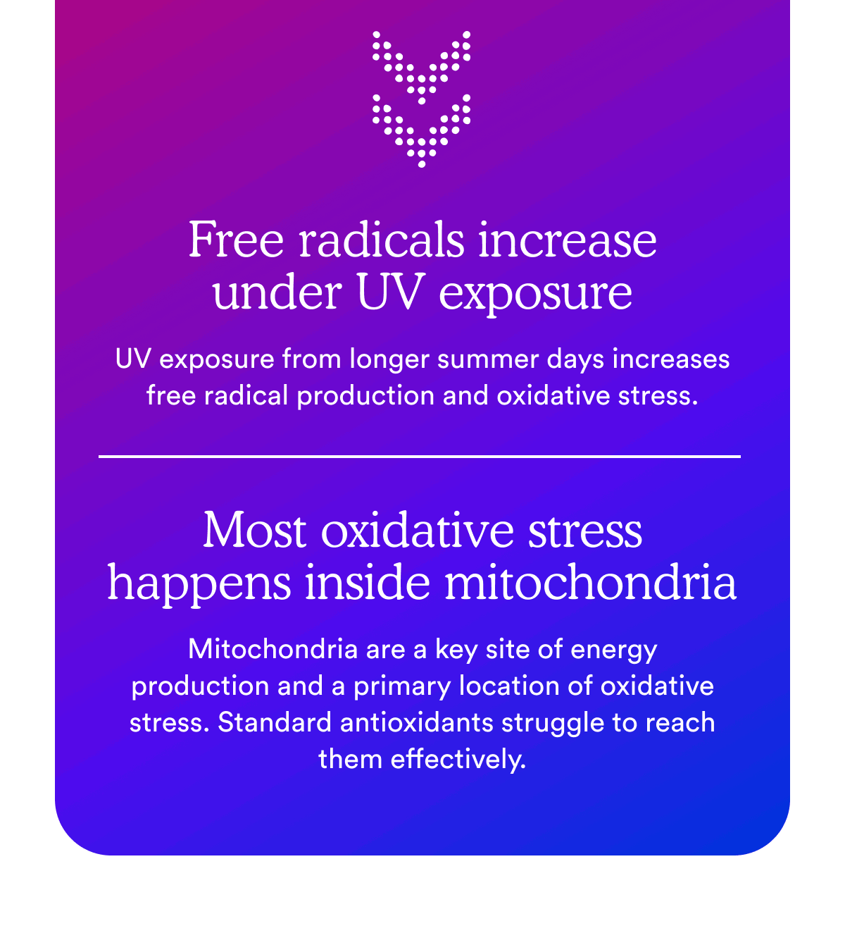 Free radicals increase under UV exposure