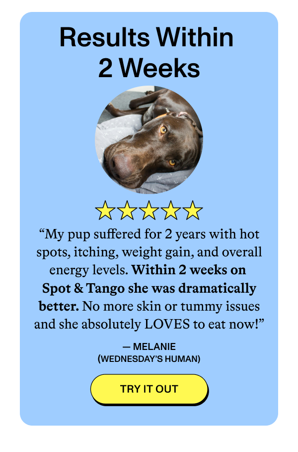 Results Within 2 Weeks  ★★★★★  “My pup suffered for 2 years with hot spots, itching, weight gain, and overall energy levels. Within 2 weeks on Spot & Tango she was dramatically better. No more skin or tummy issues, and she absolutely LOVES to eat now!”  — MELANIE (WEDNESDAY'S HUMAN)  [TRY IT OUT]