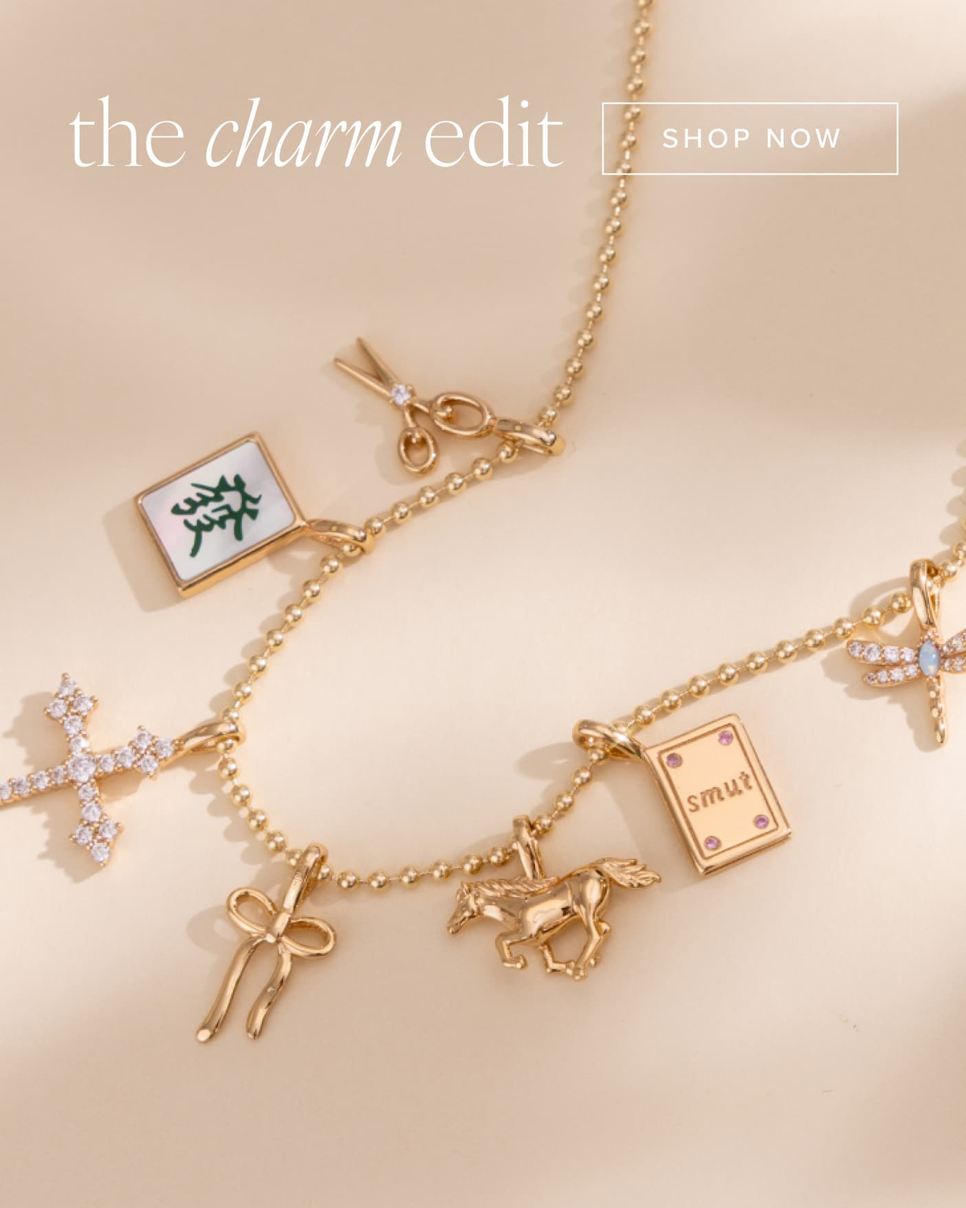 Charms on a necklace chain