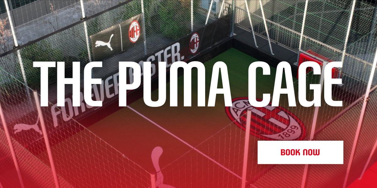 Puma Cage