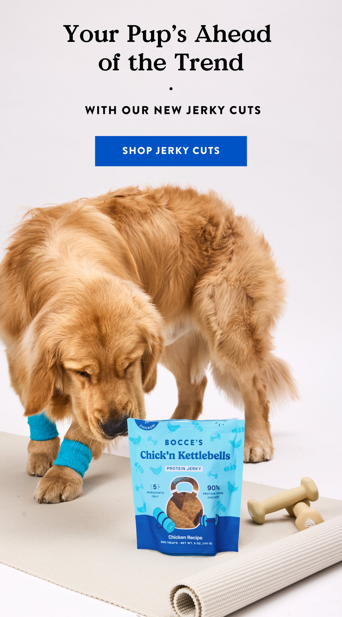 Shop Jerky Cuts