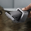 El accesorio de cepillado para mascotas de Dyson cepillando el pelaje de una mascota.