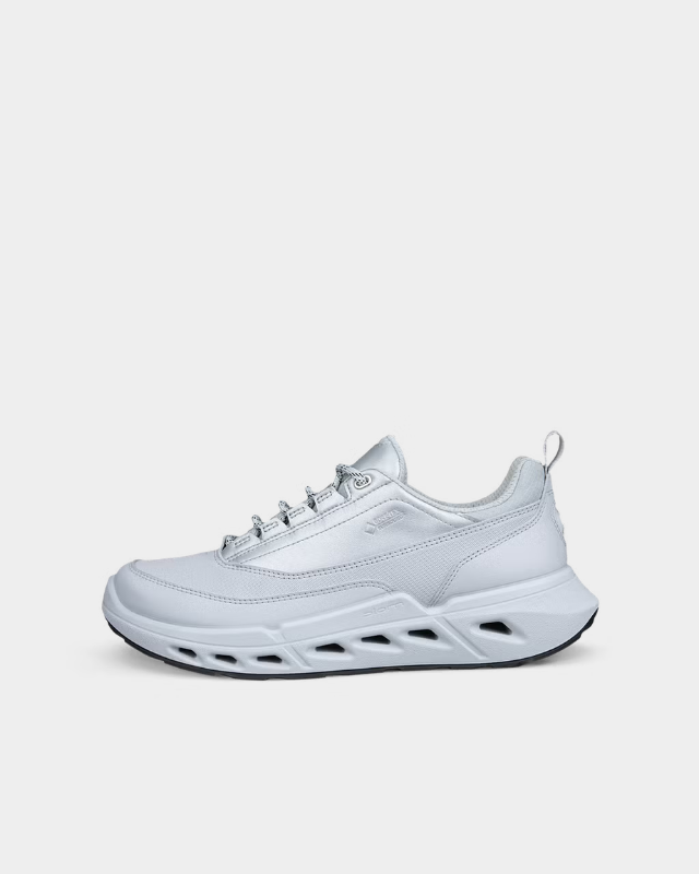 ECCO Biom 720 Gore-Tex