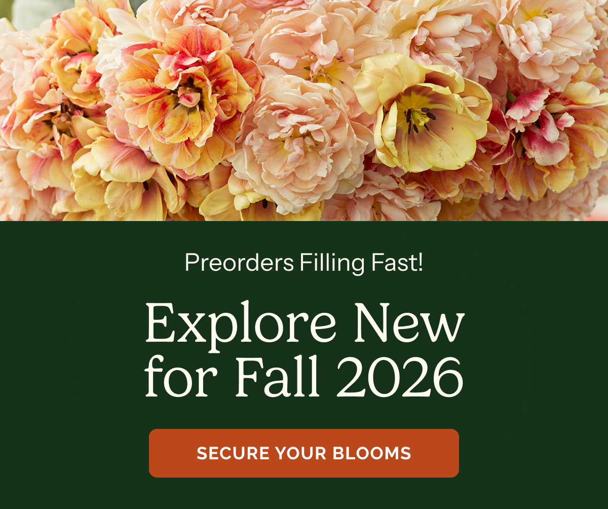 Explore New for Fall 2026 – Preorders Filling Fast! – Secure your blooms