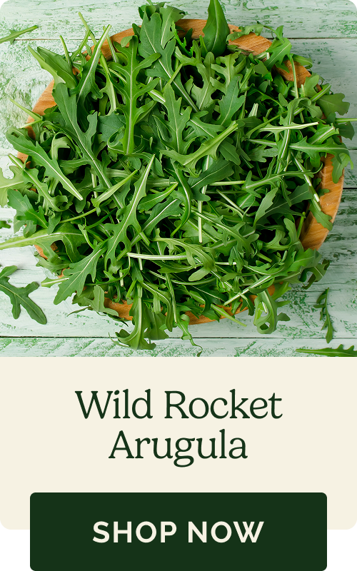 Wild Rocket Arugula