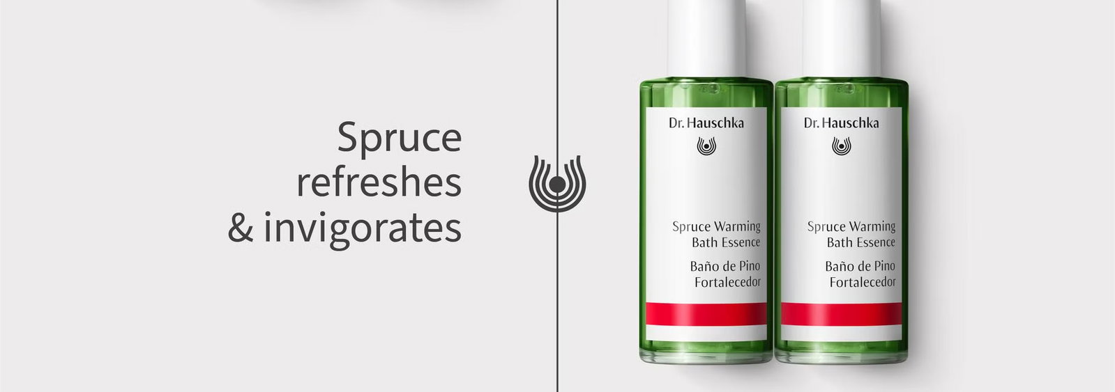 Spruce refreshes & invigorates