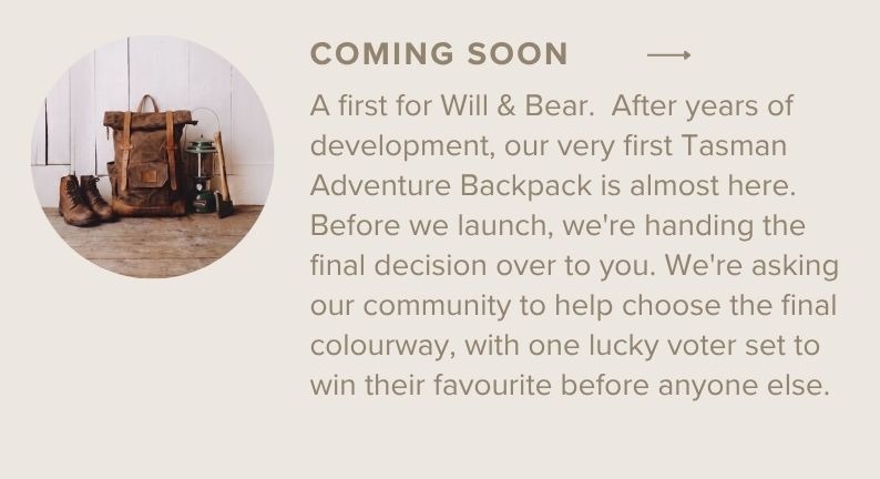 June Monthly Recap at Will & Bear 