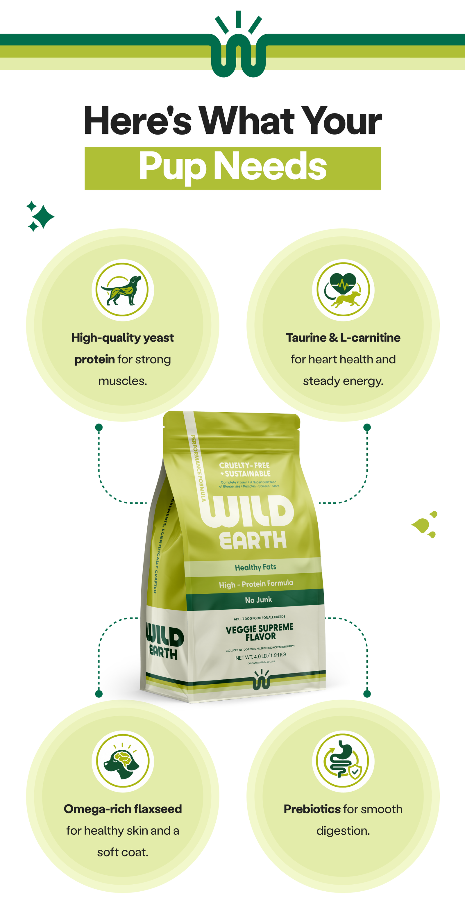 Here's What Your Pup Needs 