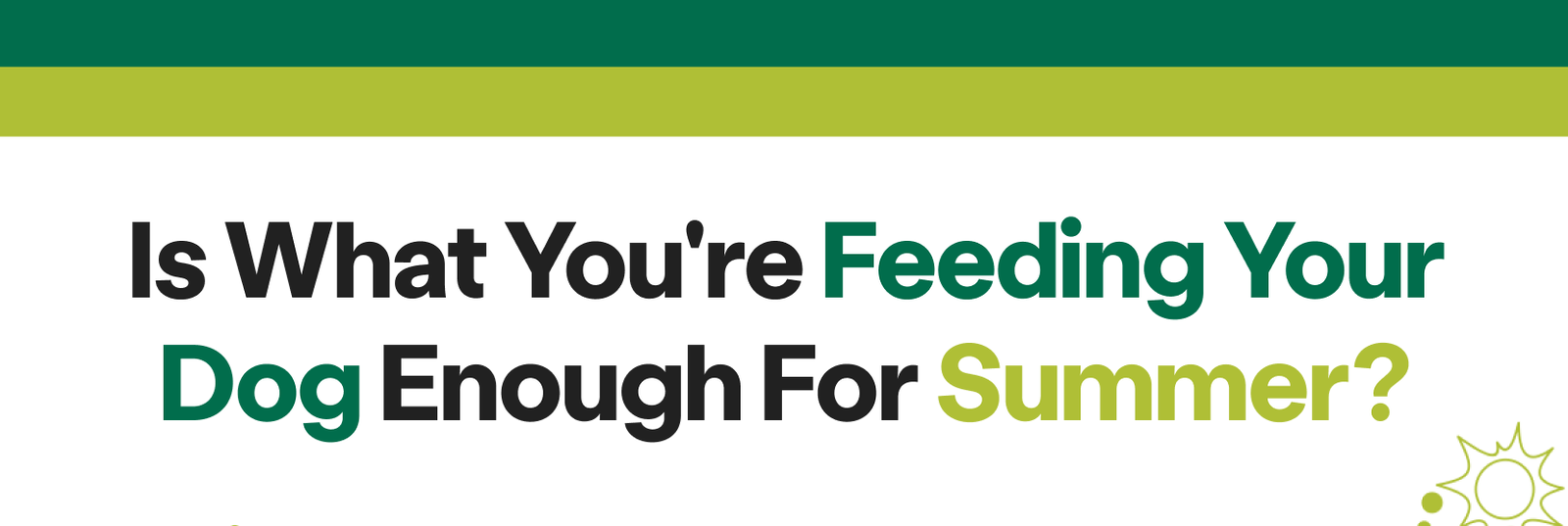 Is What You're Feeding Your Dog Enough for Summer? 