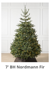 Product Recommendation 6