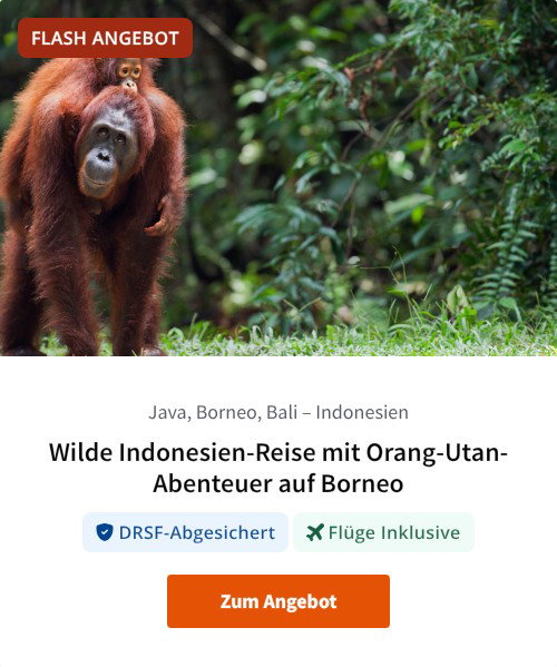 Wilde Indonesien-Reise mit Orang-Utan-Abenteuer auf Borneo