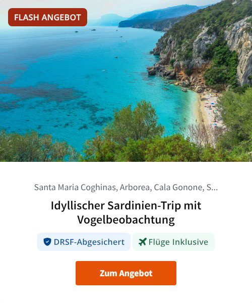 Idyllischer Sardinien-Trip mit Vogelbeobachtung