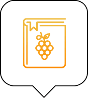 Vino.com