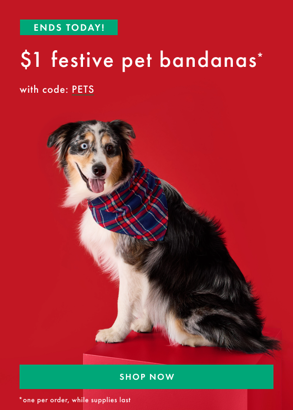Ends Today! | $1 festive pet bandanas with code: PETS | Shop Now