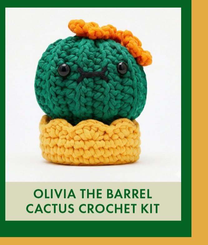 Olivia the Barrel Cactus Learn to Crochet Kit