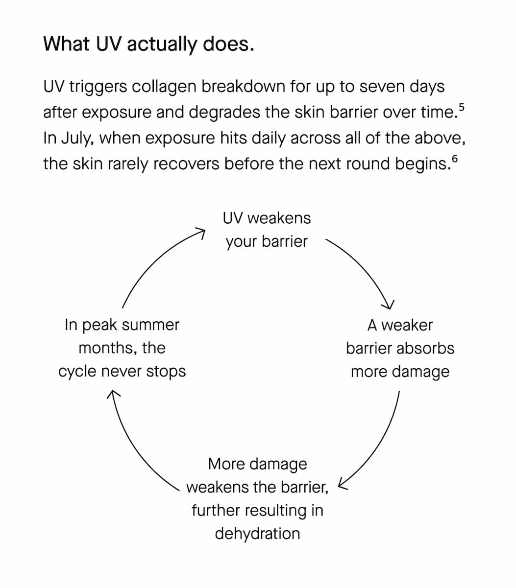 What UV actually does.
