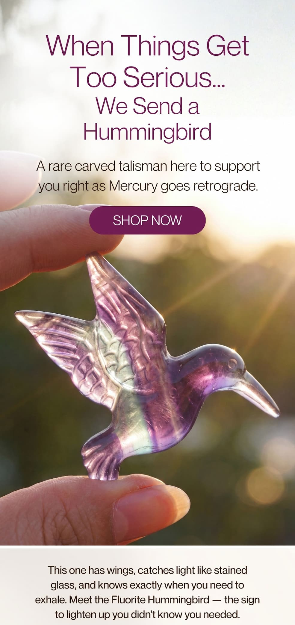 When Things Get Too Serious… We Send a Hummingbird