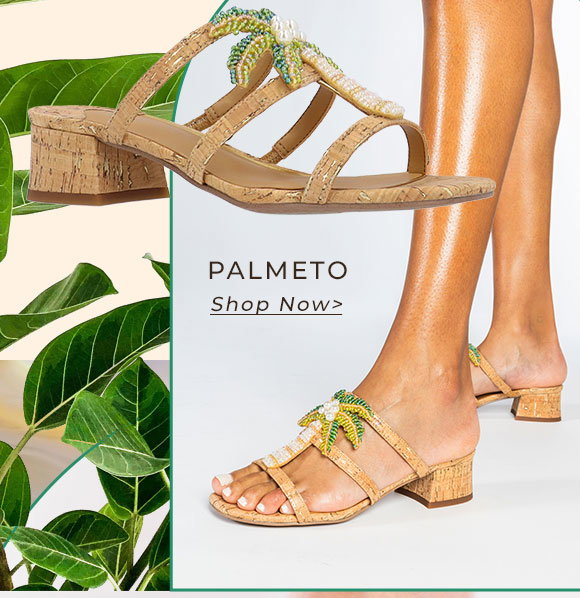 shop palmeto