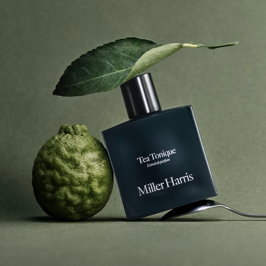 Tea Tonique Extrait