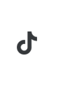 TikTok icon