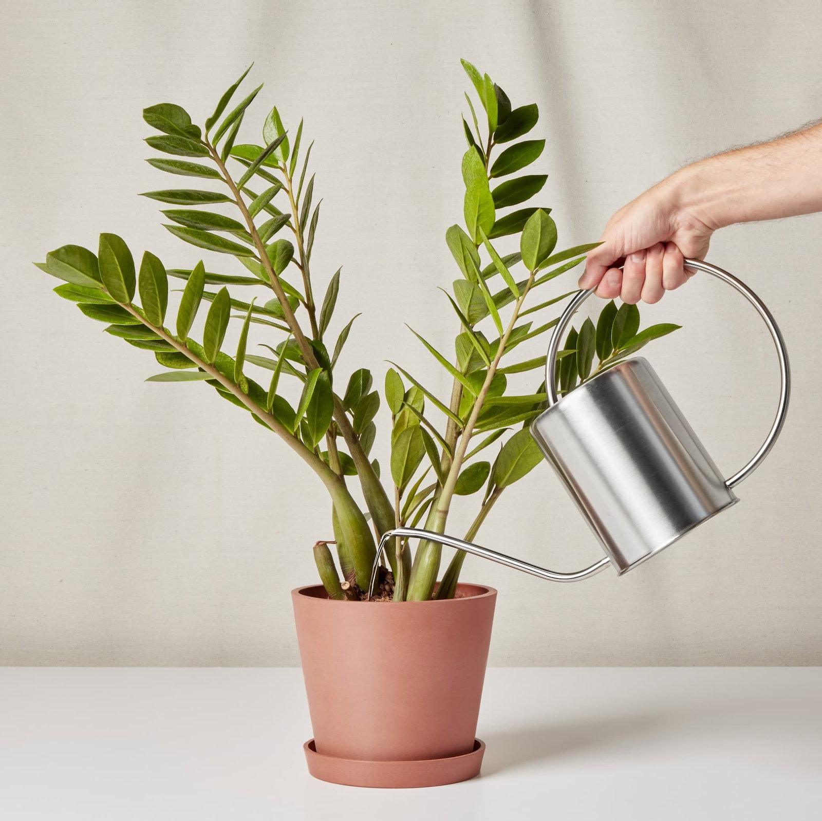 watering can in action