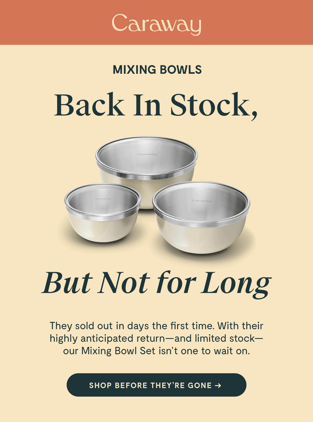 MIXING BOWLS Back In Stock,  But Not for Long They sold out in days the first time. With their highly anticipated return—and limited stock—our Mixing Bowl Set isn’t one to wait on. Shop Before They’re Gone →