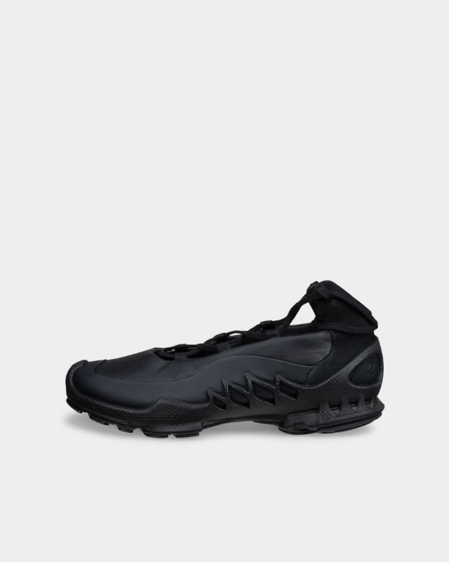 ECCO Biom Aex
