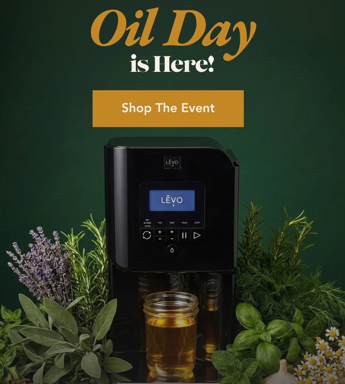 Oil Day is Here!  [Shop the Event]