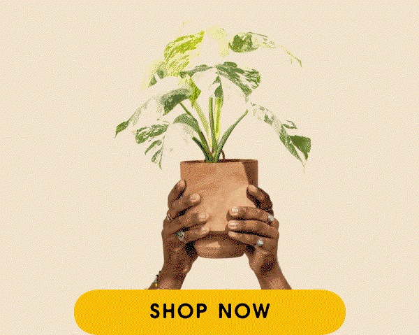 hands holding plants gif