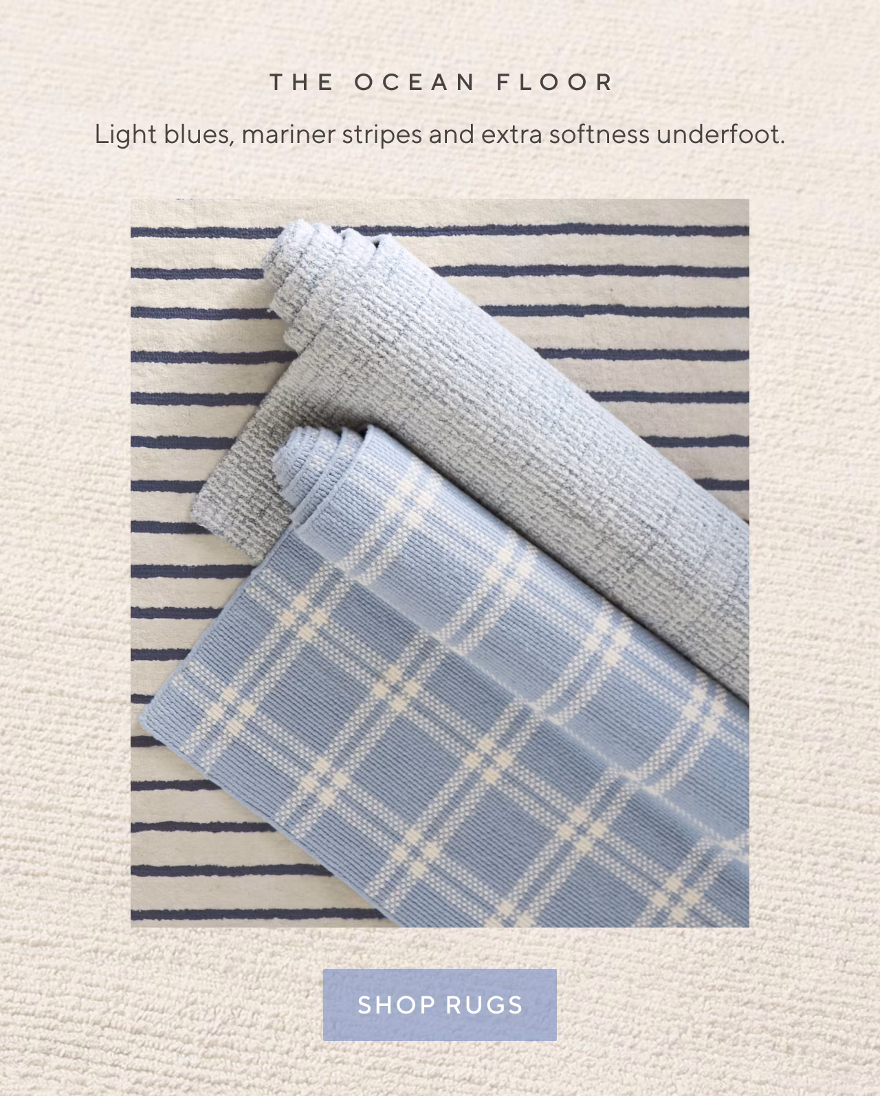 shop rugs