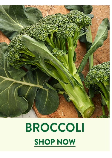 Broccoli Seeds & Plants