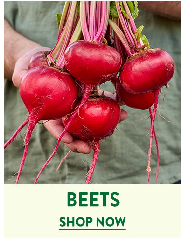 Beet Seeds